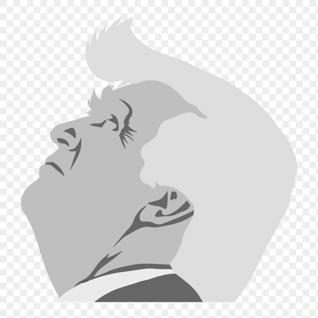 Donald Trump png clipart illustration