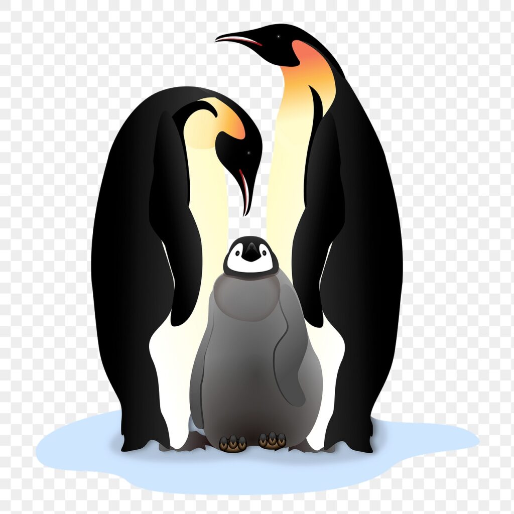 Penguin family png sticker clipart