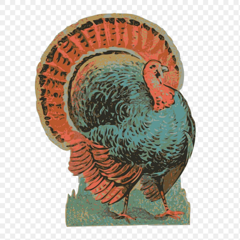 Turkey png sticker, vintage bird