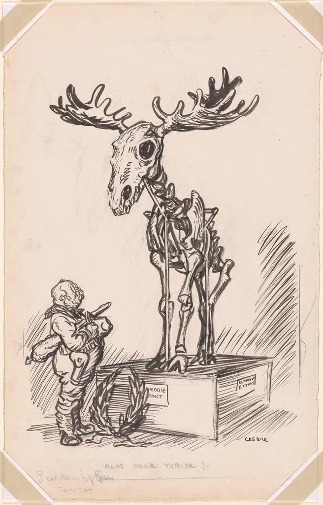 Teddy Roosevelt Oscar Edward Cesare