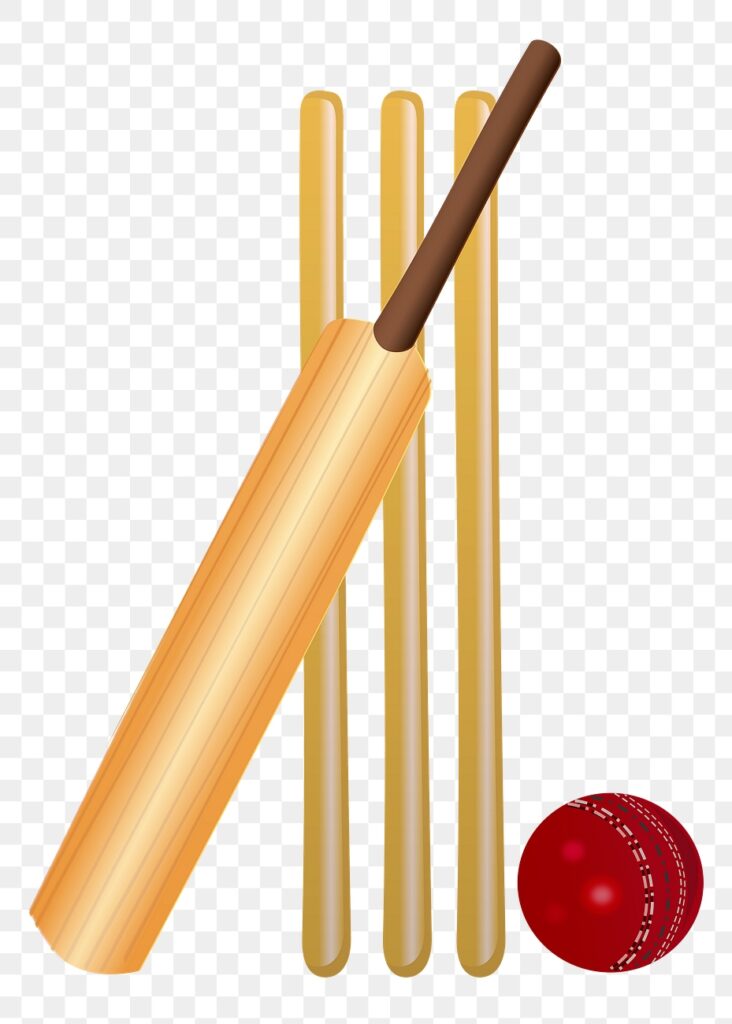 Cricket sports png sticker clipart